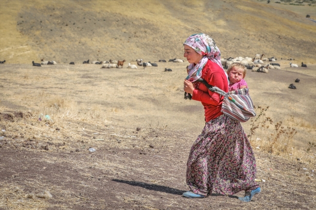 Yaylaların büyütüp beslediği insanlar çadırda yaşamlarını sürdürüyorlar
